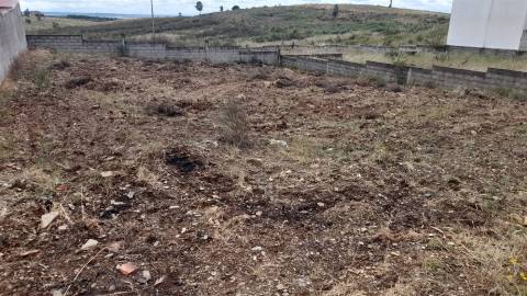 Terreno Para Construção  Venda em Castelo Branco,Castelo Branco