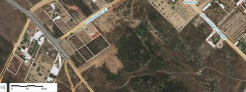 Terreno Para Construção  Venda em Castelo Branco,Castelo Branco