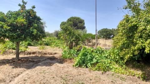 Terreno Rústico  Venda em Escalos de Cima e Lousa,Castelo Branco