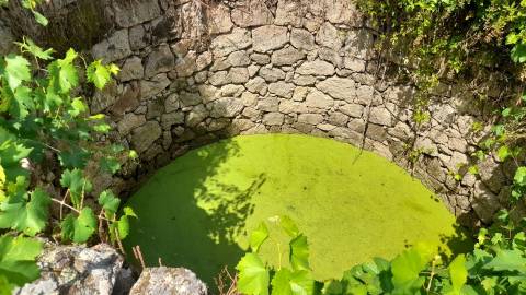Terreno Rústico  Venda em Escalos de Cima e Lousa,Castelo Branco