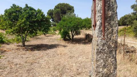 Terreno Rústico  Venda em Escalos de Cima e Lousa,Castelo Branco