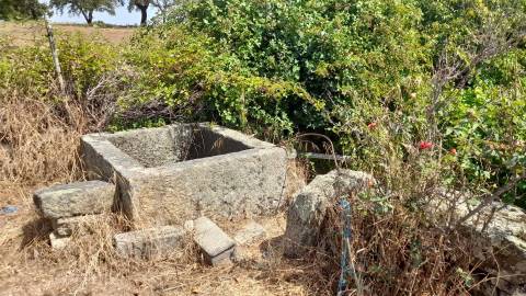 Terreno Rústico  Venda em Escalos de Cima e Lousa,Castelo Branco