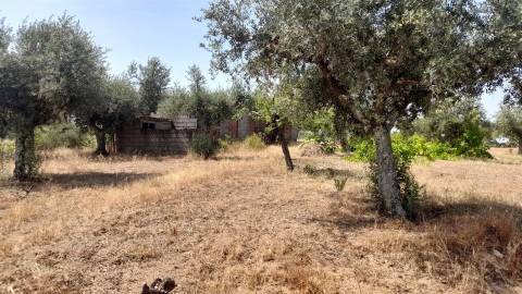Terreno Rústico  Venda em Escalos de Cima e Lousa,Castelo Branco