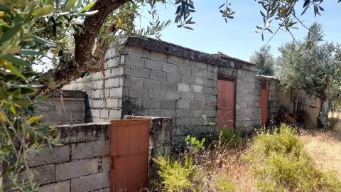 Terreno Rústico  Venda em Escalos de Cima e Lousa,Castelo Branco