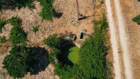 Terreno Rústico  Venda em Escalos de Cima e Lousa,Castelo Branco