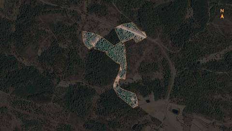 Quinta  Venda em Sarzedas,Castelo Branco