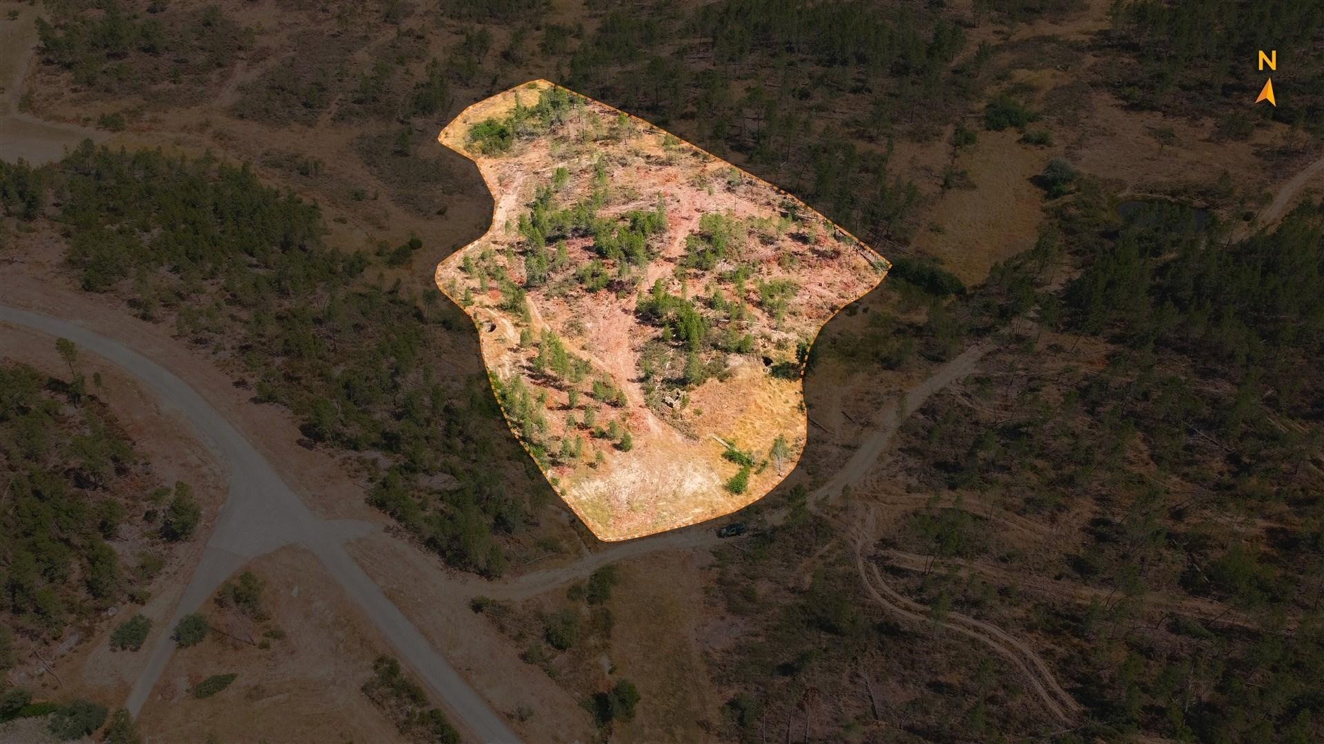 Quinta T0 Venda em Santo André das Tojeiras,Castelo Branco