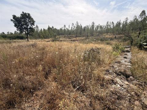 Quinta T0 Venda em Santo André das Tojeiras,Castelo Branco