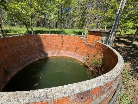 Terreno Rústico  Venda em Tamengos, Aguim e Óis do Bairro,Anadia