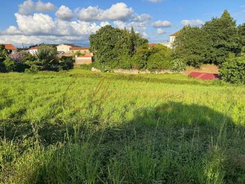 Terreno Misto  Venda em Beduído e Veiros,Estarreja