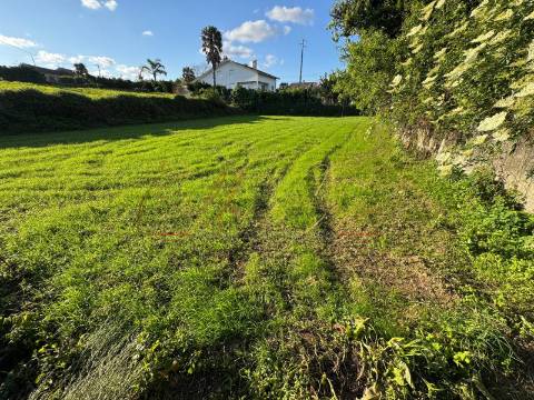 Terreno Misto  Venda em Beduído e Veiros,Estarreja