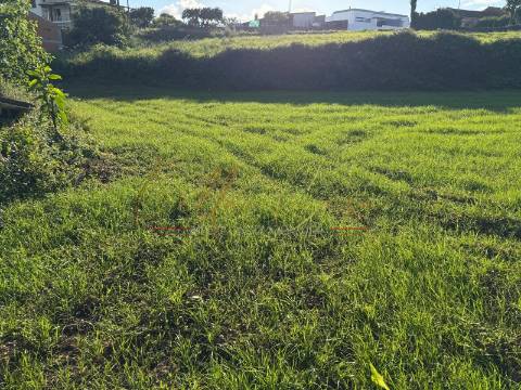 Terreno Misto  Venda em Beduído e Veiros,Estarreja
