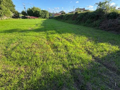 Terreno Misto  Venda em Beduído e Veiros,Estarreja