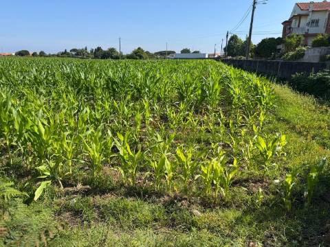 Terreno  Venda em Aradas,Aveiro