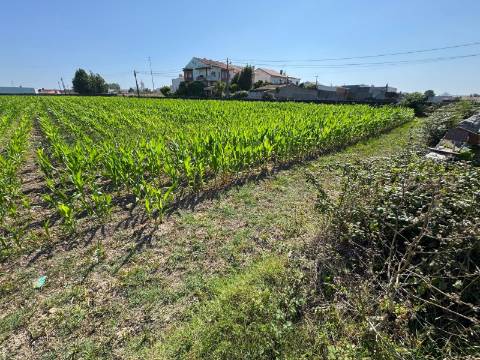 Terreno  Venda em Aradas,Aveiro