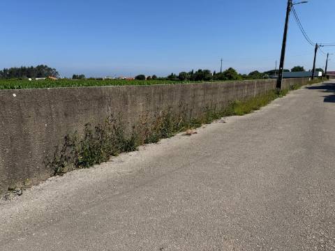 Terreno  Venda em Aradas,Aveiro