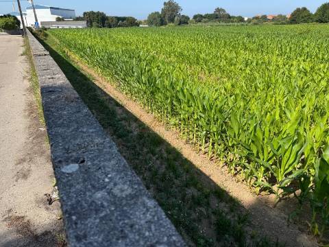 Terreno  Venda em Aradas,Aveiro