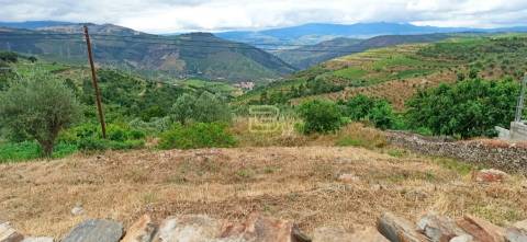 Terreno urbano em Vila Seca, Armamar, disponível para construção de armazém agrícola.
