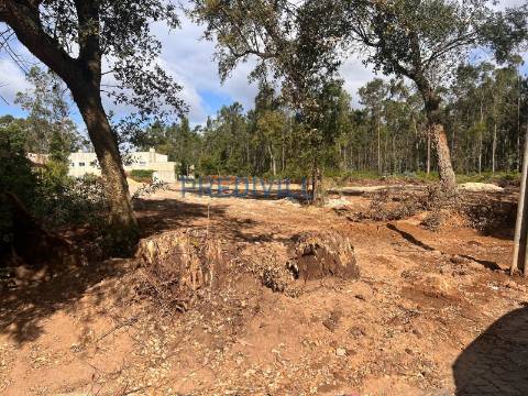 Terreno  Venda em Vilar e Mosteiró,Vila do Conde