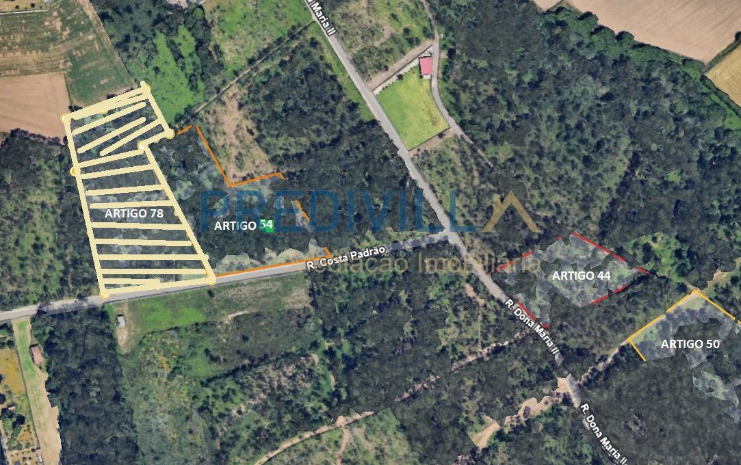 Terreno Rústico  Venda em Vilar e Mosteiró,Vila do Conde