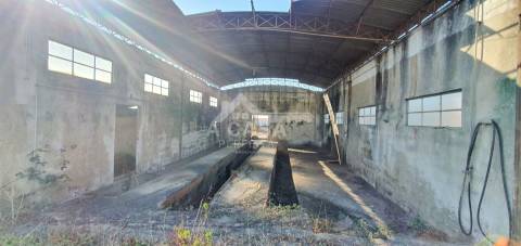 Armazém com 910 m2 inserido num terreno com a área total de 2.780 m2 em São Miguel do Souto