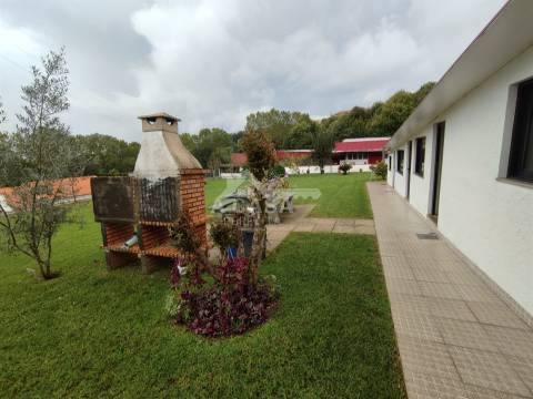 Armazém com 615 m2 de construção, inserido num lote de 1831 m2 em Oliveira de Azeméis