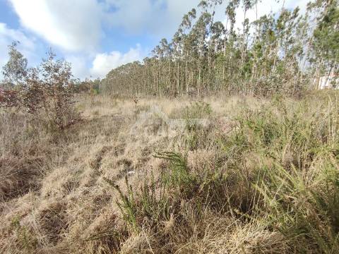 Terreno para construção de 5.300 m2 com 2 frentes em São Martinho da Gândara
