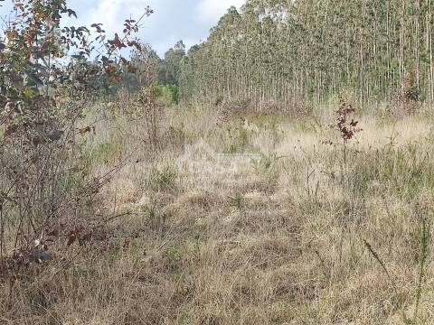 Terreno para construção de 5.300 m2 com 2 frentes em São Martinho da Gândara