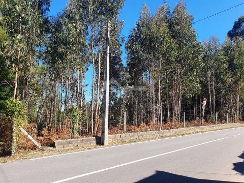 Terreno com viabilidade de construção de moradias com 3800 m2 e 47 m de frente em Souto