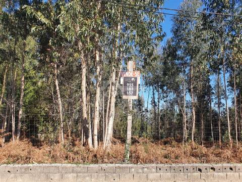 Terreno com viabilidade de construção de moradias com 3800 m2 e 47 m de frente em Souto