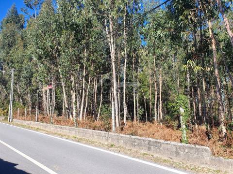 Terreno com viabilidade de construção de moradias com 3800 m2 e 47 m de frente em Souto