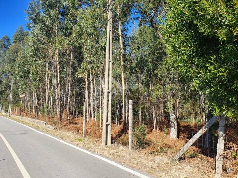Terreno com viabilidade de construção de moradias com 3800 m2 e 47 m de frente em Souto