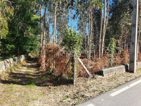 Terreno com viabilidade de construção de moradias com 3800 m2 e 47 m de frente em Souto