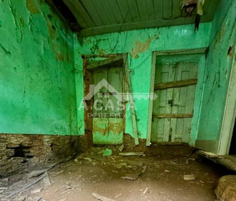 Moradia isolada T2 térrea para restauro com logradouro e pinhal