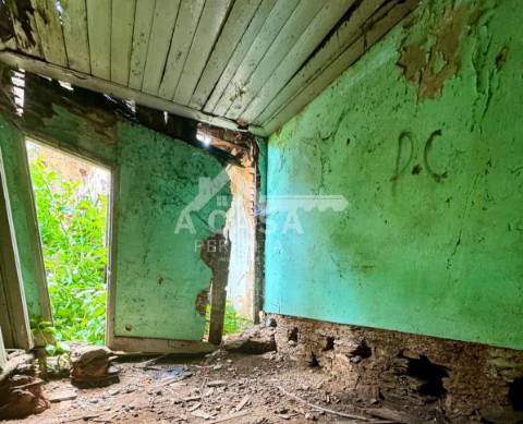 Moradia isolada T2 térrea para restauro com logradouro e pinhal