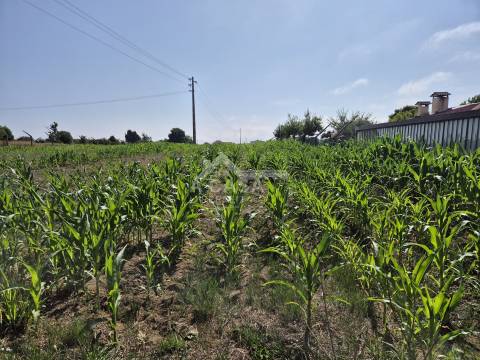 Terreno para construção em Arada