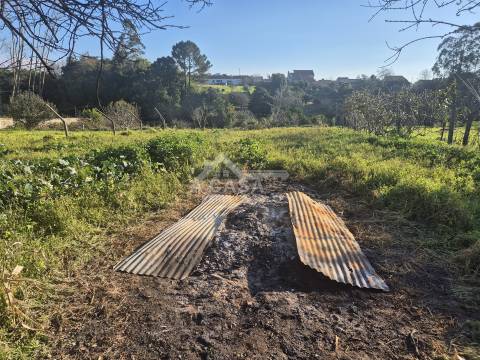 Moradia Isolada Térrea T3 com anexos e logradouro em São João de Ovar