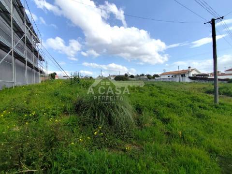 Lote de Terreno 5 em Cortegaça
