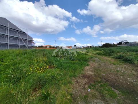 Lote de Terreno 4 em Cortegaça