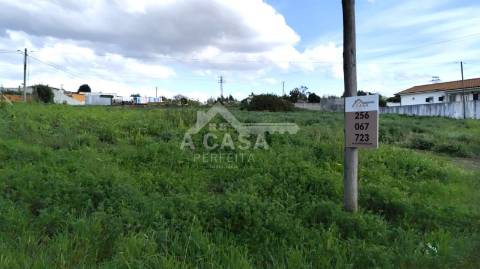 Lote de Terreno 1 em Cortegaça