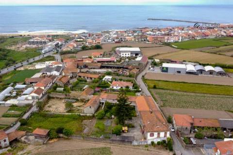 Quinta T6 - Lavra