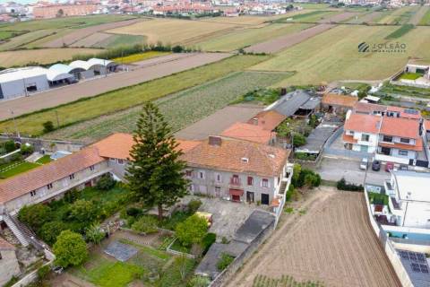 Quinta T6 - Lavra