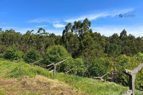Terrenos à venda em Penafiel (Rústico + Urbano)