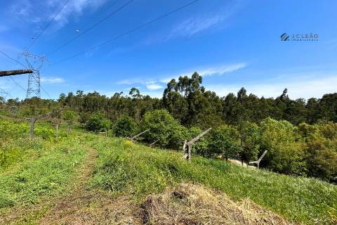 Terrenos à venda em Penafiel (Rústico + Urbano)