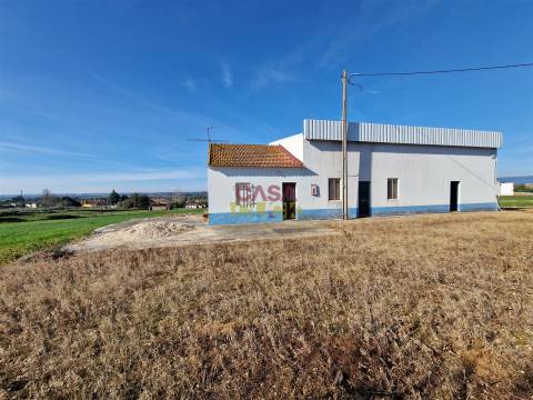 Armazém T1 Venda em Brogueira, Parceiros de Igreja e Alcorochel,Torres Novas