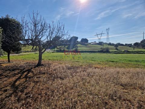 Armazém T1 Venda em Brogueira, Parceiros de Igreja e Alcorochel,Torres Novas