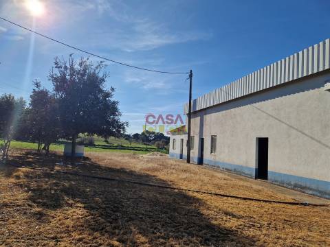 Armazém T1 Venda em Brogueira, Parceiros de Igreja e Alcorochel,Torres Novas