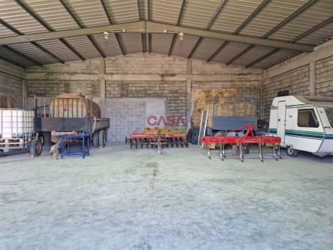 Armazém T1 Venda em Brogueira, Parceiros de Igreja e Alcorochel,Torres Novas
