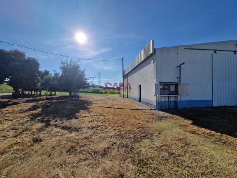 Armazém T1 Venda em Brogueira, Parceiros de Igreja e Alcorochel,Torres Novas