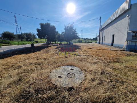 Armazém T1 Venda em Brogueira, Parceiros de Igreja e Alcorochel,Torres Novas
